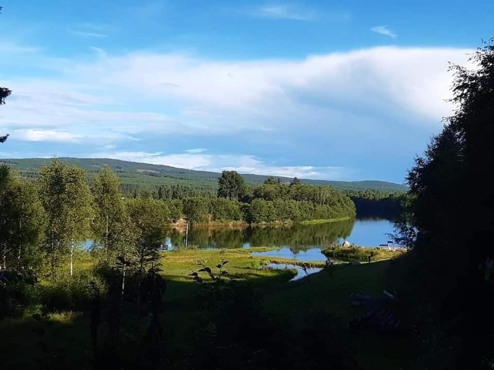 Hôtel Camping Djupdalen à Ekshärad Extérieur photo